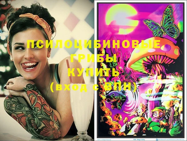 МДПВ Бугульма