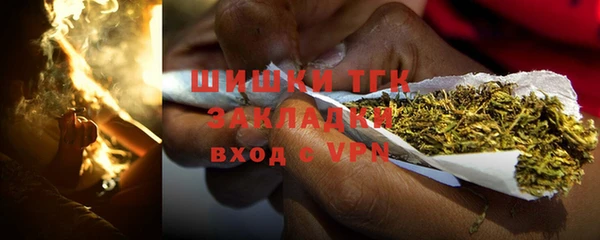 трава Бородино
