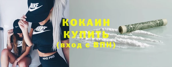 трава Бородино