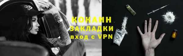 трава Бородино