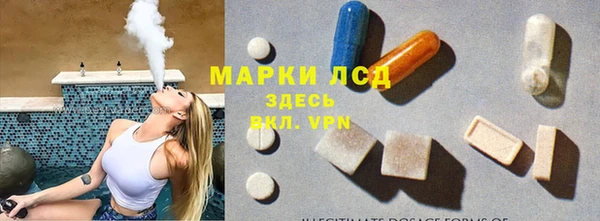 трава Бородино